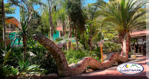 Hermosos jardines
